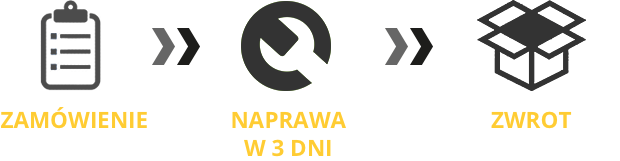 Order, repair in 3 days, get back